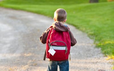Virginia’s Definition of an Abused or Neglected Child: Understanding Va. Code § 16.1-228(2)